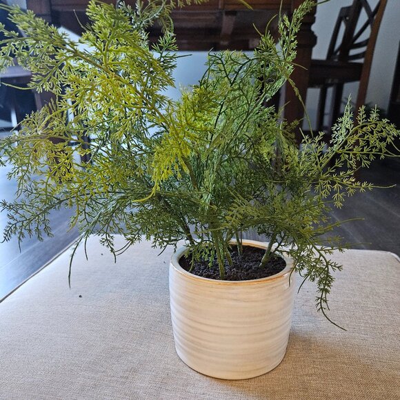 Studio Mcgee Faux Fern Plant - Picture 2 of 3